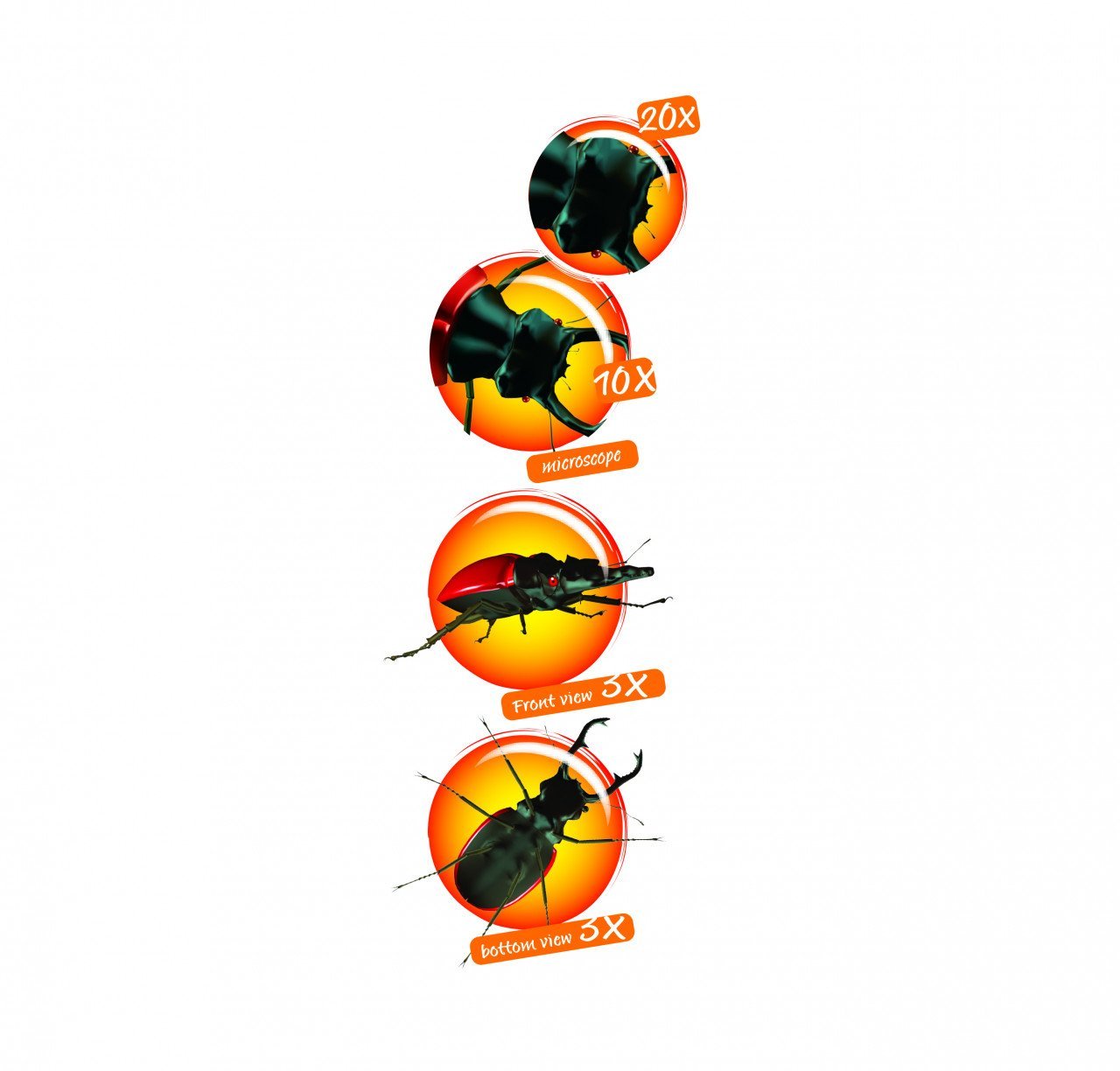 Jucării de exterior - Cutie cu lupă şi microscop pentru observarea insectelor, 5+ ani | Navir - 3