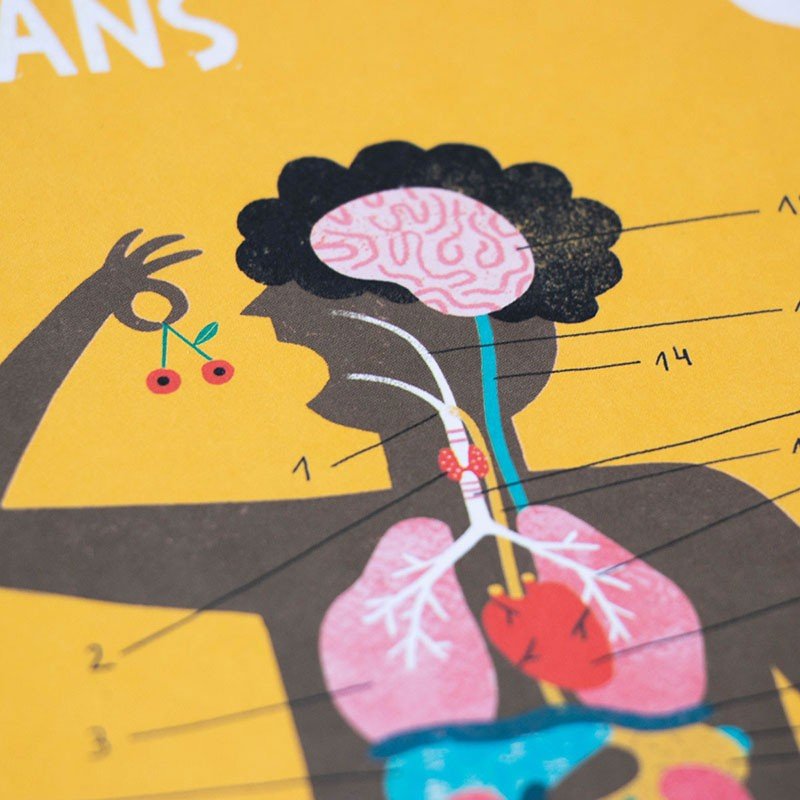 Joc educativ "Corpul uman - Inside Me" | Londji - Londji - EmmaSiLuna.ro