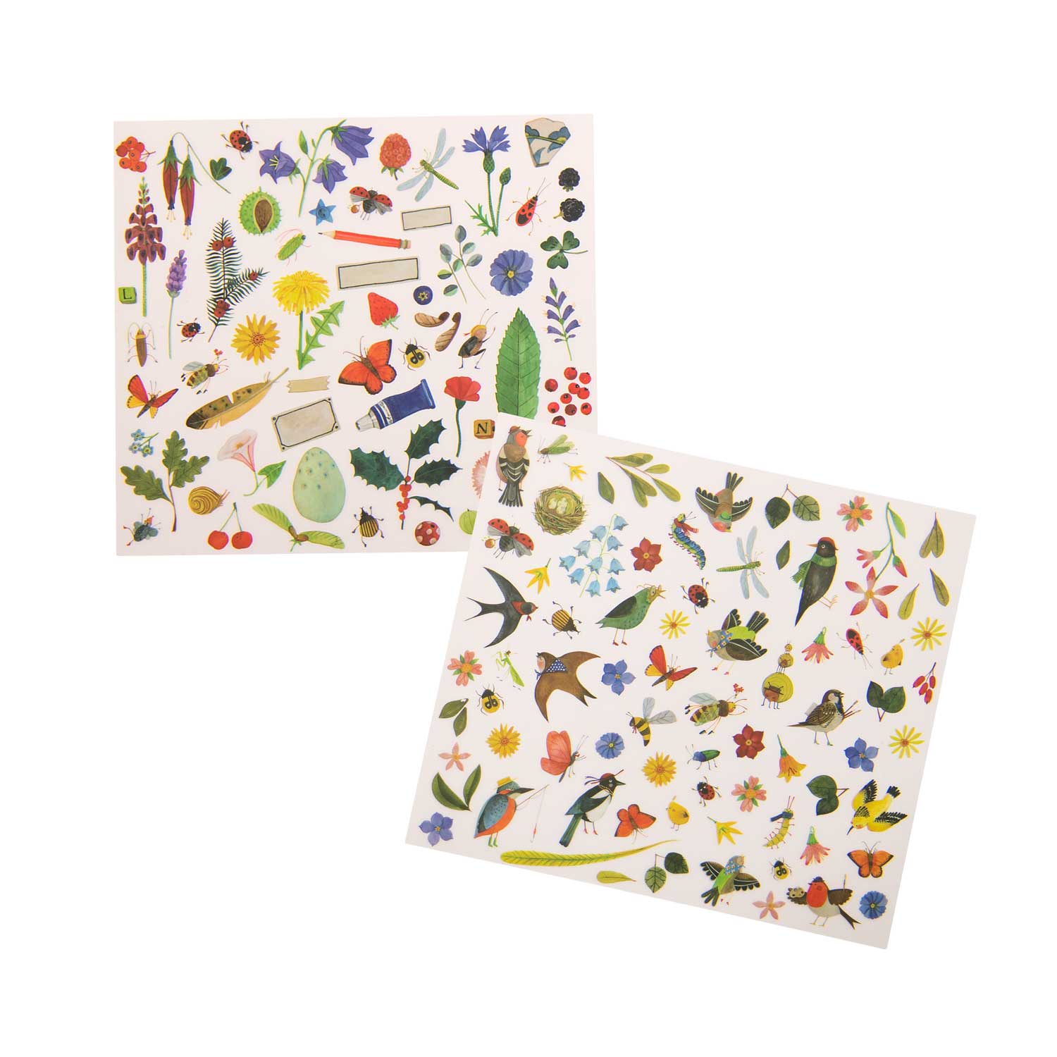 Abţibilduri - Abţibilduri de transfer (Decal) - Botanistul, 4+ ani | Moulin Roty - 3