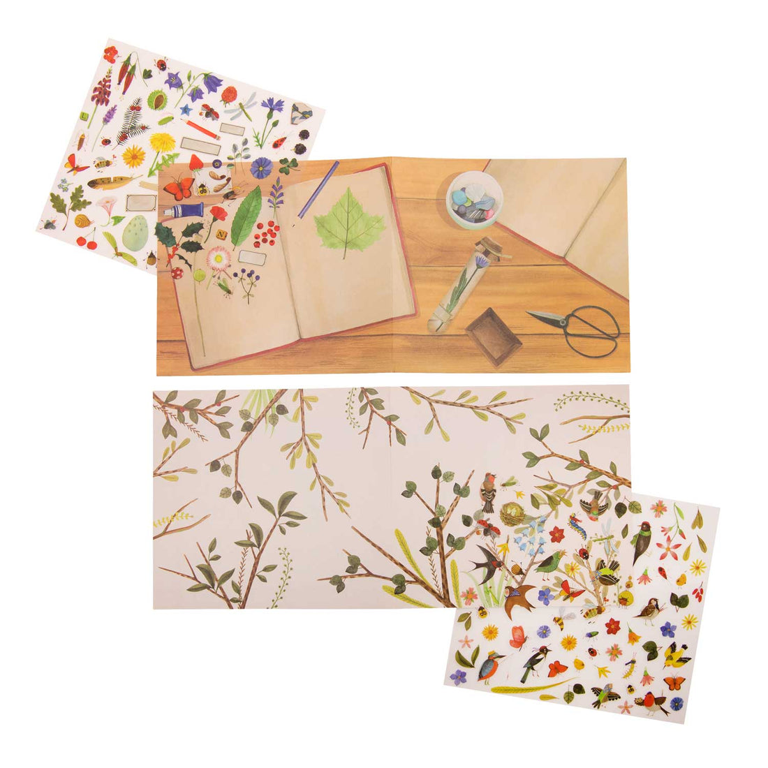 Abţibilduri - Abţibilduri de transfer (Decal) - Botanistul, 4+ ani | Moulin Roty - 2