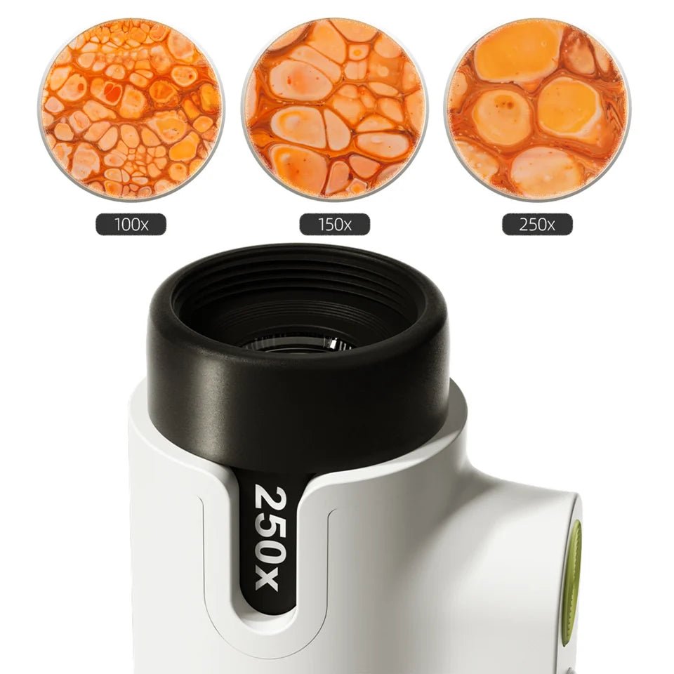 TopBright - Joc STEM Microscop 250, portabil, 8+ ani | TopBright-4