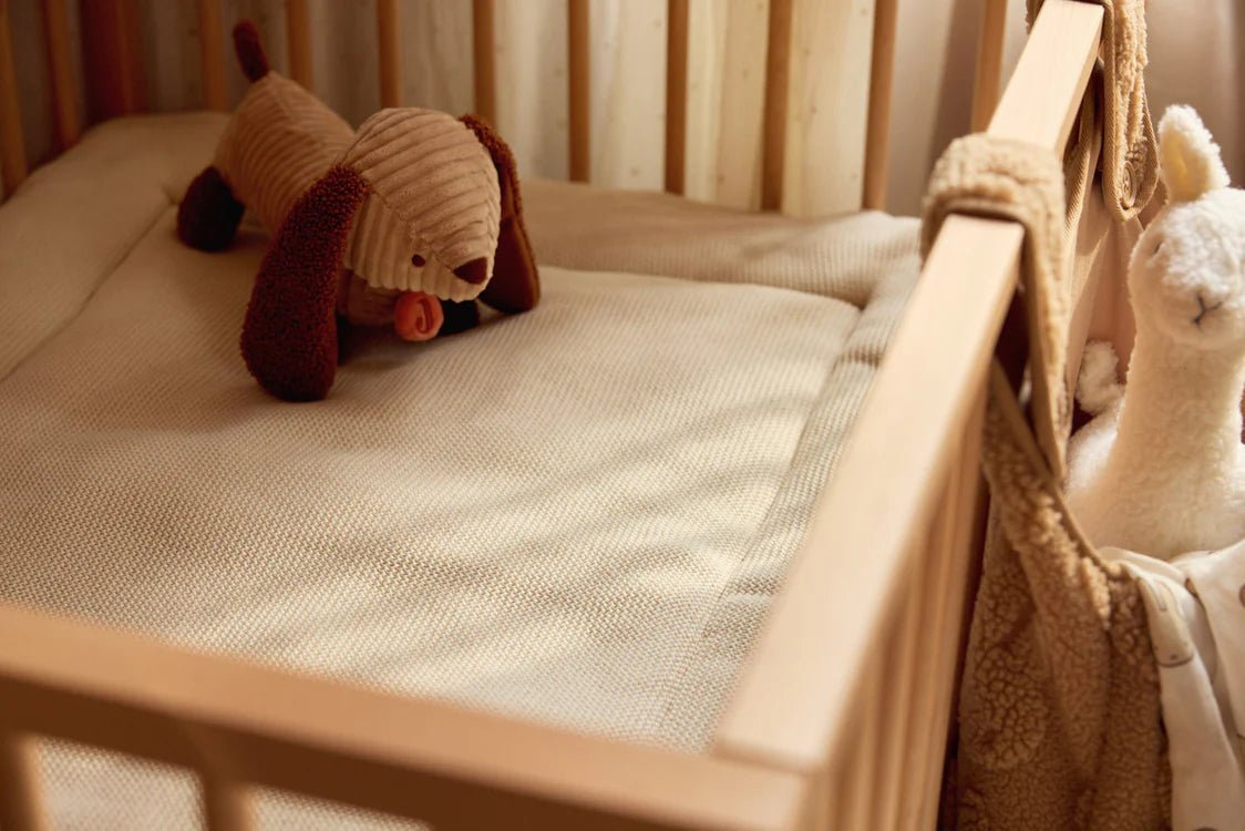 Jucării de pluş - Jucărie de pluş - Căţelul Diego, 0+ ani | Jollein - 3