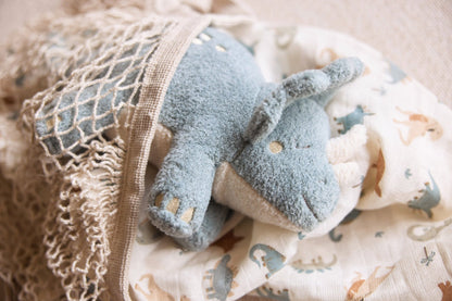 Jucării de pluş - Jucărie de pluş - Dinozaur, 0+ ani | Jollein - 6