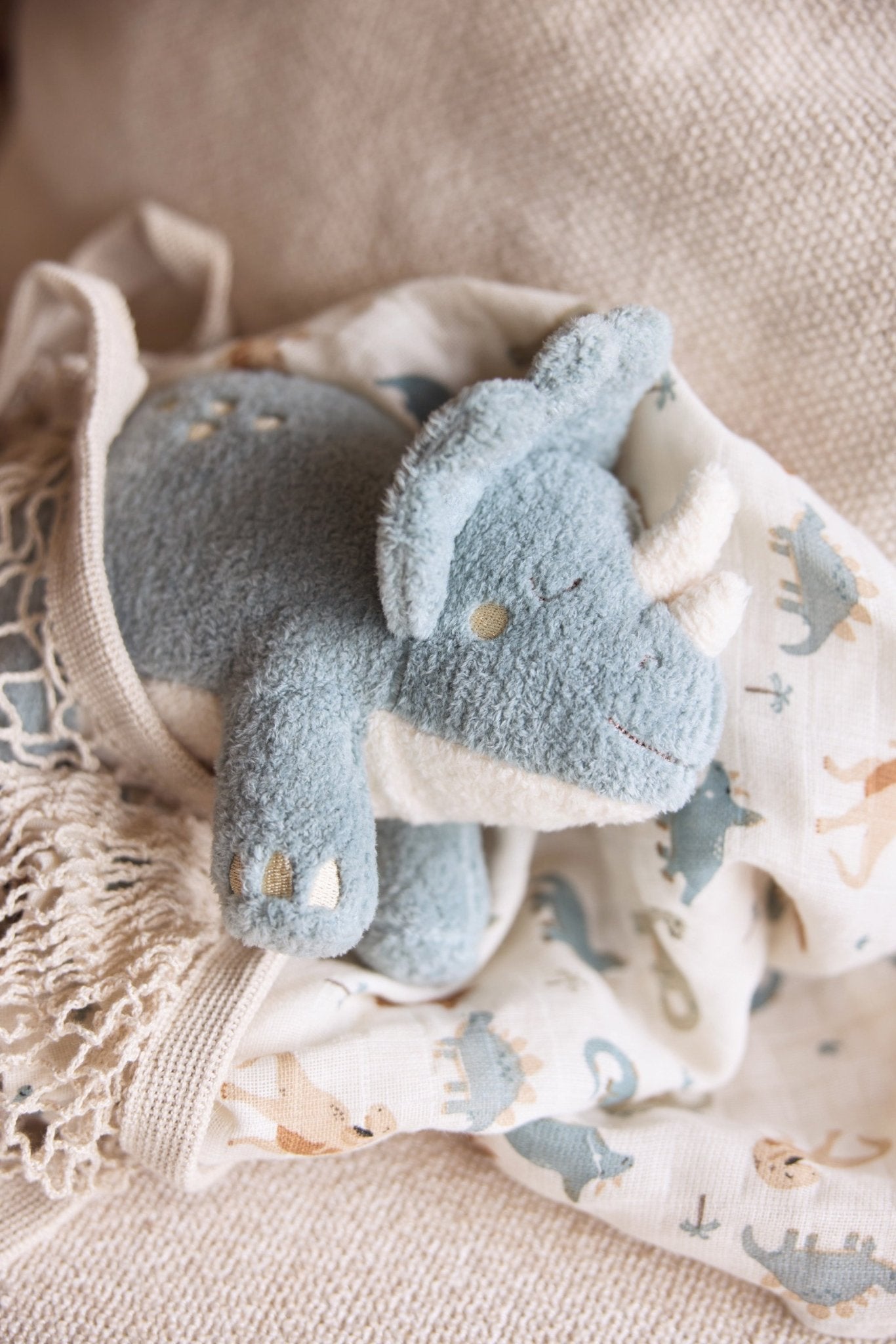 Jucării de pluş - Jucărie de pluş - Dinozaur, 0+ ani | Jollein - 7