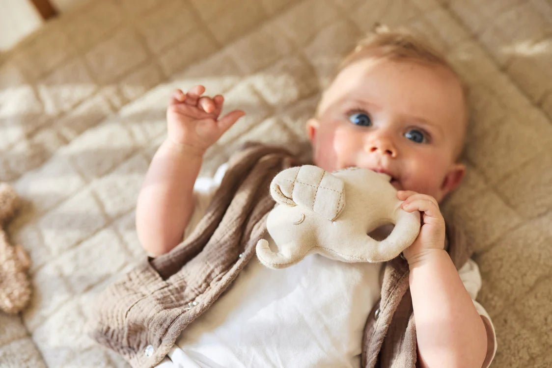 Jucării senzoriale - Jucărie zornăitoare pentru bebeluși – Elefant, 0+ ani | Jollein - 2